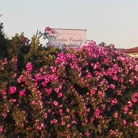 קמאיורה Vecchio Casale Margherita מראה חיצוני תמונה