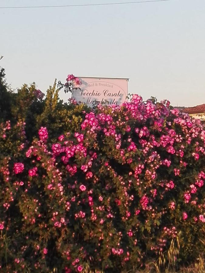 קמאיורה Vecchio Casale Margherita מראה חיצוני תמונה